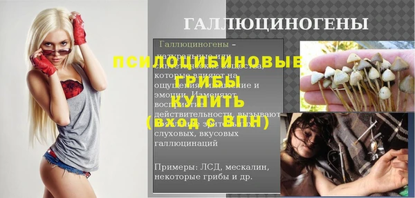 стафф Кулебаки