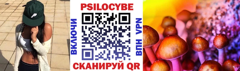 Галлюциногенные грибы Psilocybe  ОМГ ОМГ рабочий сайт  Невельск 